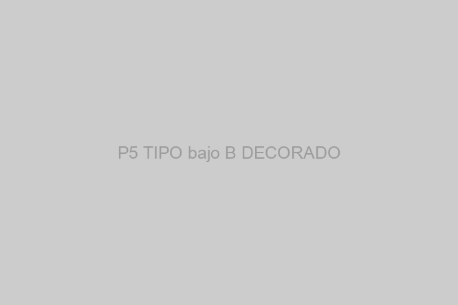 P5 TIPO bajo B DECORADO